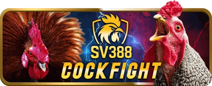 Live stream đá gà chất lượng cao